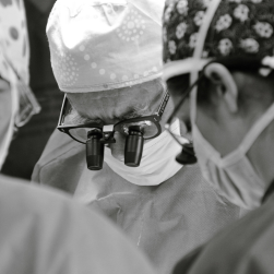 Operative Gynecology Surgery